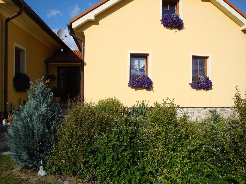 Apartmán Augsten Český Krumlov Esterno foto