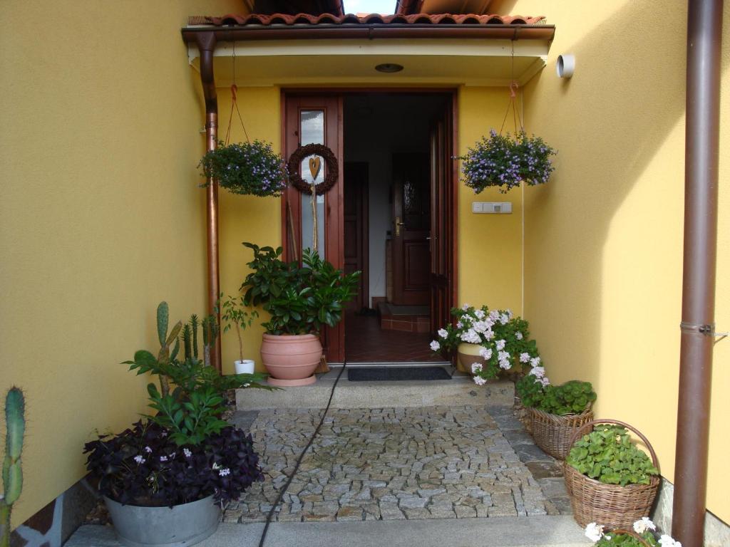 Apartmán Augsten Český Krumlov Esterno foto